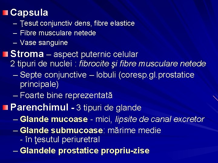 Capsula – Ţesut conjunctiv dens, fibre elastice – Fibre musculare netede – Vase sanguine