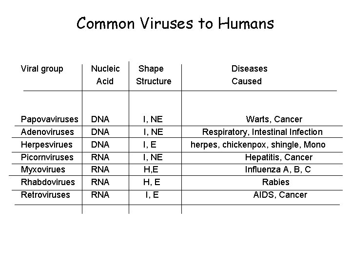 Common Viruses to Humans Viral group Nucleic Acid Papovaviruses Adenoviruses Herpesvirues Picornviruses Myxovirues Rhabdovirues