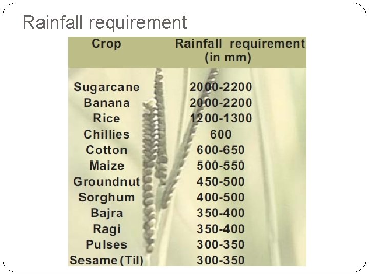 Rainfall requirement 