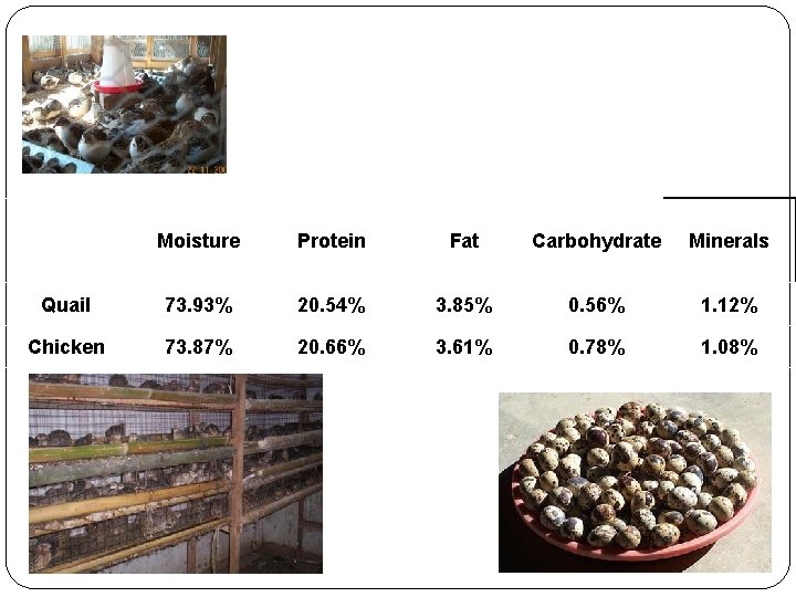 Moisture Protein Fat Carbohydrate Minerals Quail 73. 93% 20. 54% 3. 85% 0. 56%