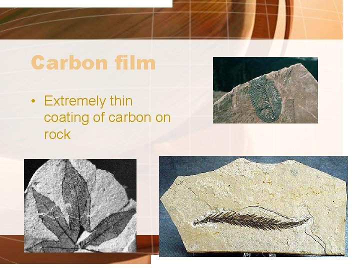 Carbon film • Extremely thin coating of carbon on rock 