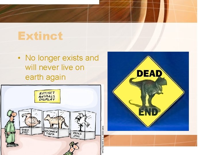 Extinct • No longer exists and will never live on earth again 