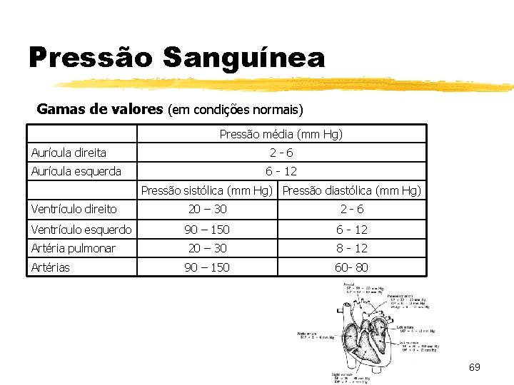 Pressão Sanguínea Gamas de valores (em condições normais) Pressão média (mm Hg) Aurícula direita