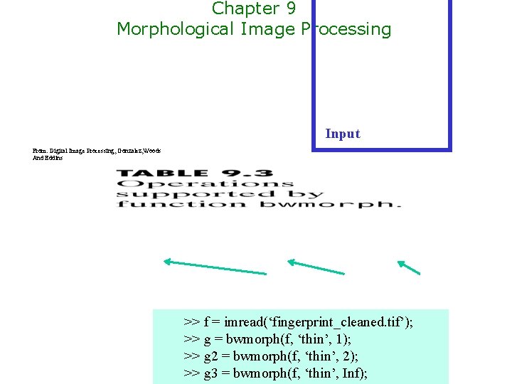 Chapter 9 Morphological Image Processing Input From: Digital Image Processing, Gonzalez, Woods And Eddins