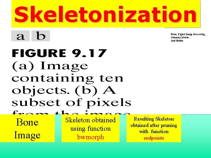 Skeletonization From: Digital Image Processing, Gonzalez, Woods And Eddins Bone Image Skeleton obtained using