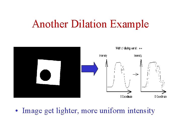 Another Dilation Example • Image get lighter, more uniform intensity 