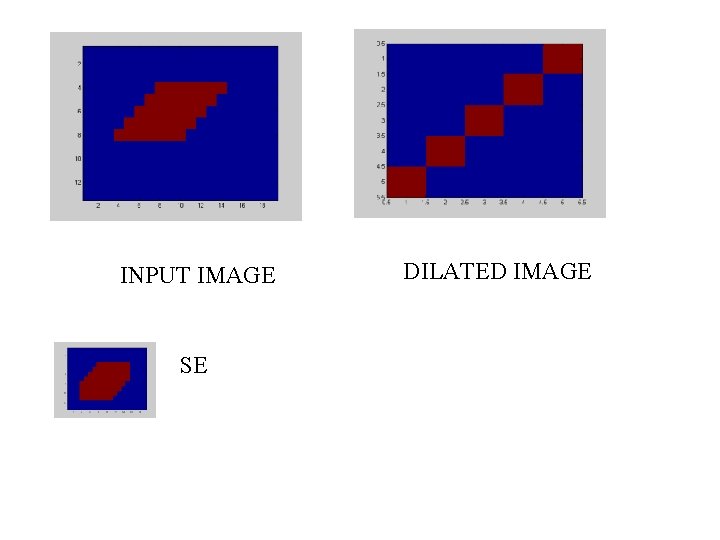 INPUT IMAGE SE DILATED IMAGE 