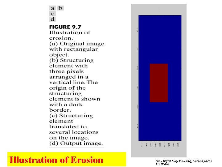 Illustration of Erosion From: Digital Image Processing, Gonzalez, Woods And Eddins 