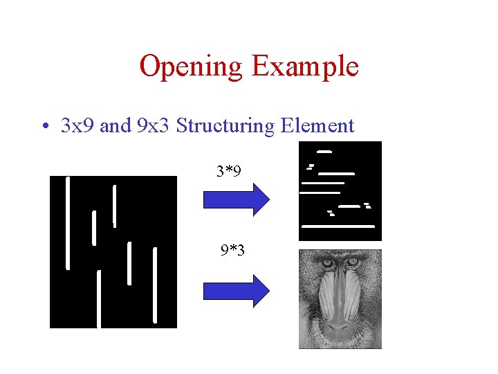 Opening Example • 3 x 9 and 9 x 3 Structuring Element 3*9 9*3