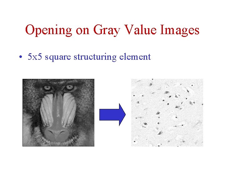 Opening on Gray Value Images • 5 x 5 square structuring element 