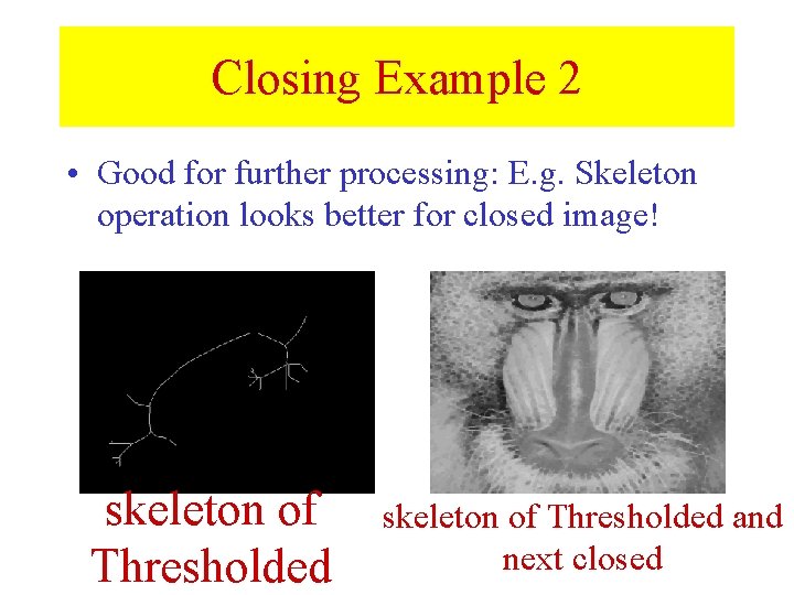 Closing Example 2 • Good for further processing: E. g. Skeleton operation looks better