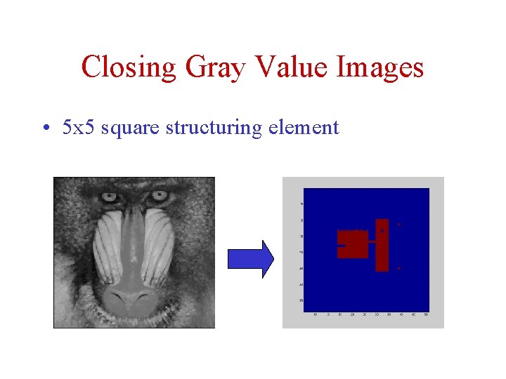 Closing Gray Value Images • 5 x 5 square structuring element 