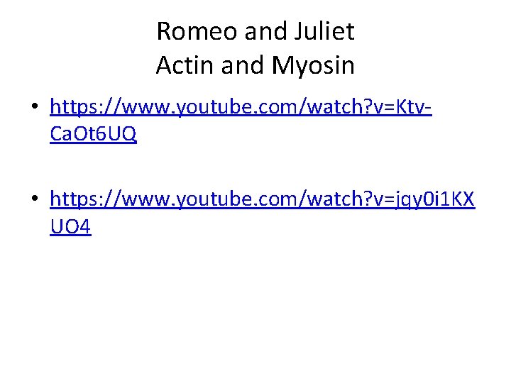 Romeo and Juliet Actin and Myosin • https: //www. youtube. com/watch? v=Ktv. Ca. Ot