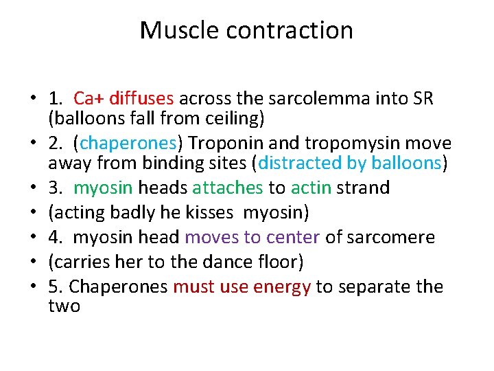 Muscle contraction • 1. Ca+ diffuses across the sarcolemma into SR (balloons fall from