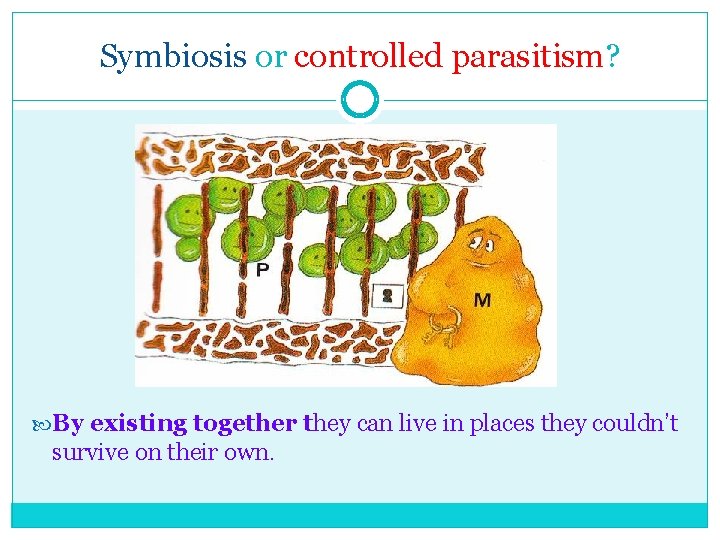 Symbiosis or controlled parasitism? By existing together they can live in places they couldn’t