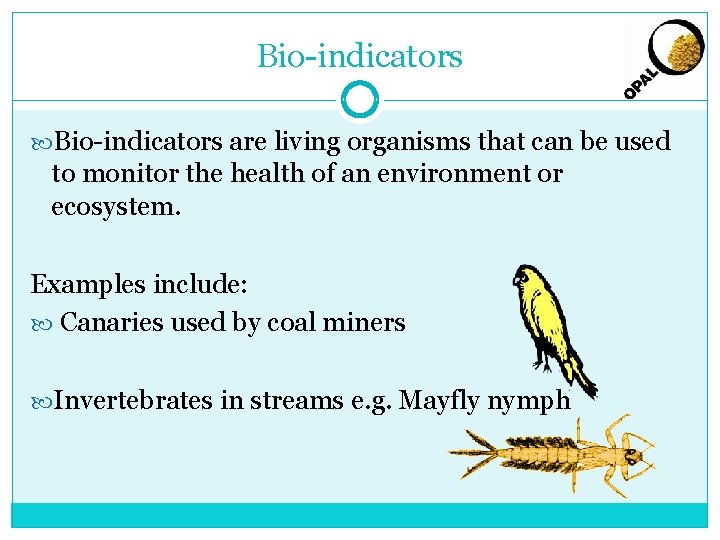 Bio-indicators are living organisms that can be used to monitor the health of an