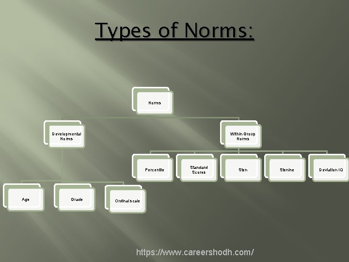 Types of Norms: Norms Developmental Norms Within Group Norms Percentile Age Grade Standard Scores