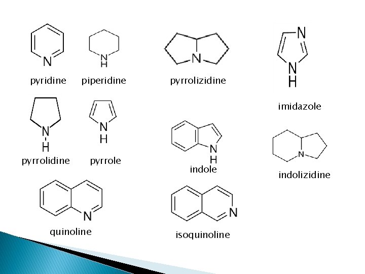 pyridine piperidine pyrrolizidine imidazole pyrrolidine pyrrole quinoline indole isoquinoline indolizidine 