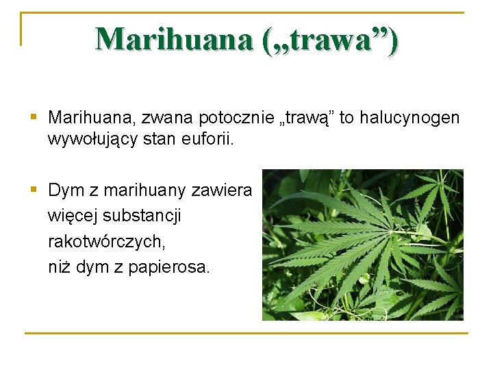 Marihuana („trawa”) § Marihuana, zwana potocznie „trawą” to halucynogen wywołujący stan euforii. § Dym