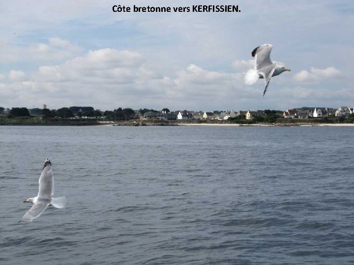 Côte bretonne vers KERFISSIEN. 