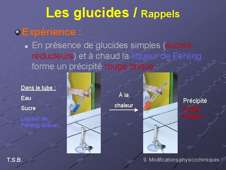 Les glucides / Rappels Expérience : n En présence de glucides simples (sucres réducteurs)