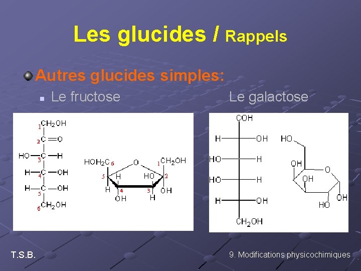 Les glucides / Rappels Autres glucides simples: n T. S. B. Le fructose Le