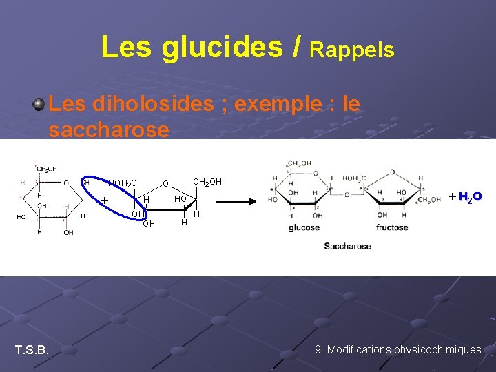 Les glucides / Rappels Les diholosides ; exemple : le saccharose + T. S.