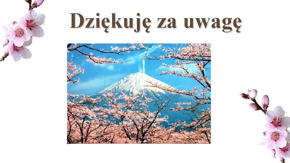 Dziękuję za uwagę 