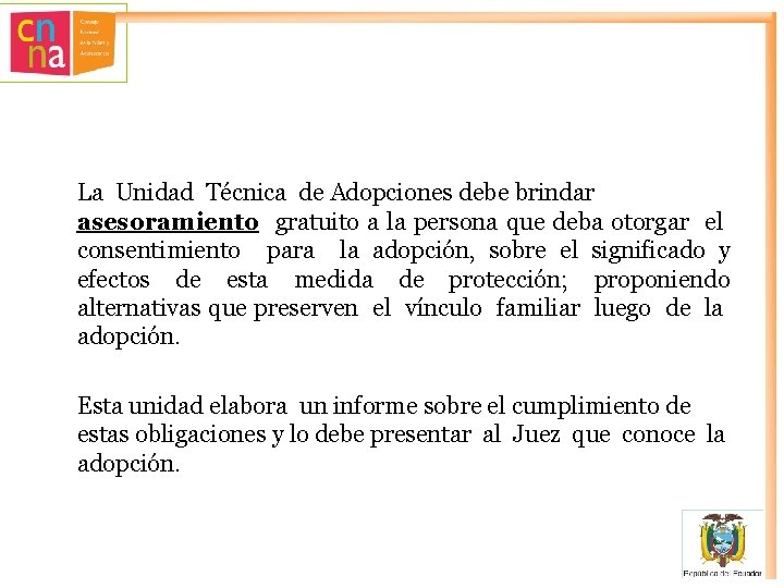 La Unidad Técnica de Adopciones debe brindar asesoramiento gratuito a la persona que deba