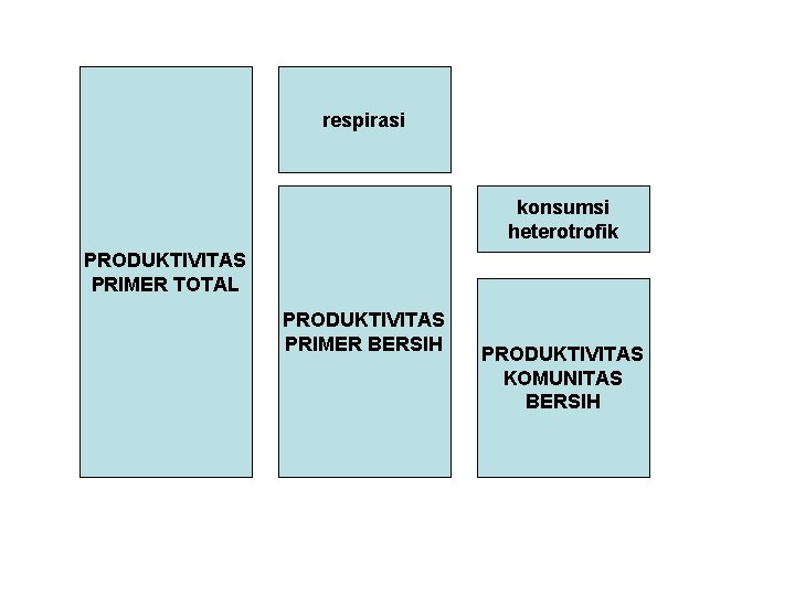 respirasi konsumsi heterotrofik PRODUKTIVITAS PRIMER TOTAL PRODUKTIVITAS PRIMER BERSIH PRODUKTIVITAS KOMUNITAS BERSIH 