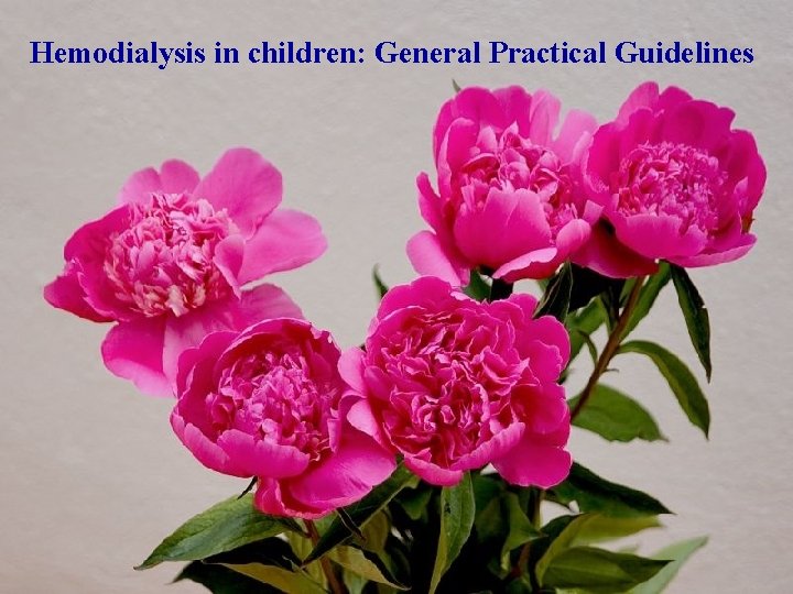 Hemodialysis in children: General Practical Guidelines 