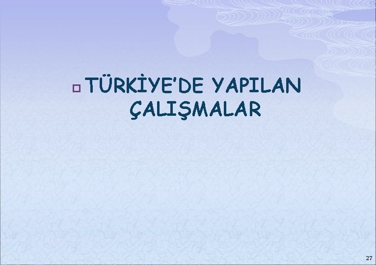 p TÜRKİYE’DE YAPILAN ÇALIŞMALAR 27 