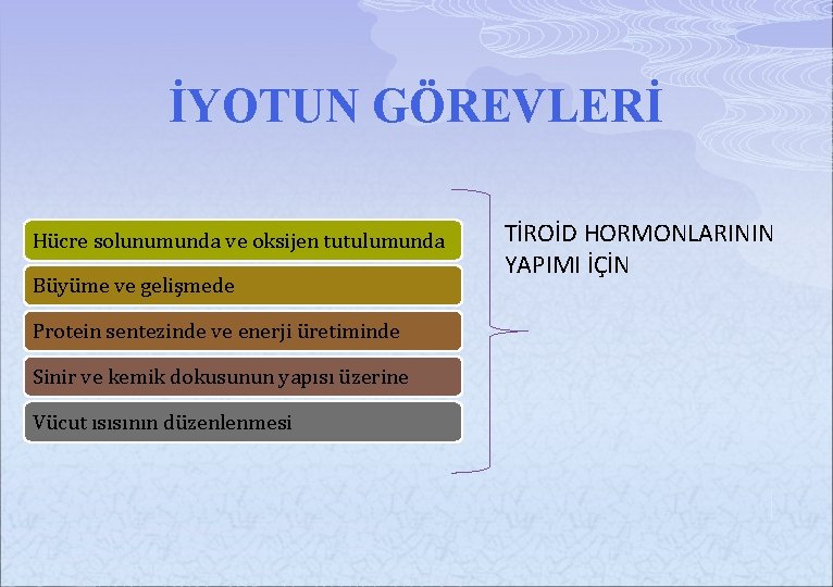 İYOTUN GÖREVLERİ Hücre solunumunda ve oksijen tutulumunda Büyüme ve gelişmede Protein sentezinde ve enerji