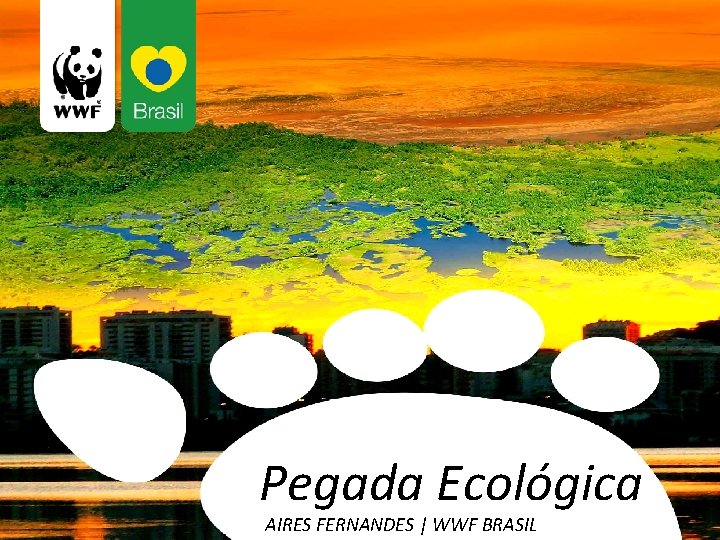 Pegada Ecológica AIRES FERNANDES | WWF BRASIL 