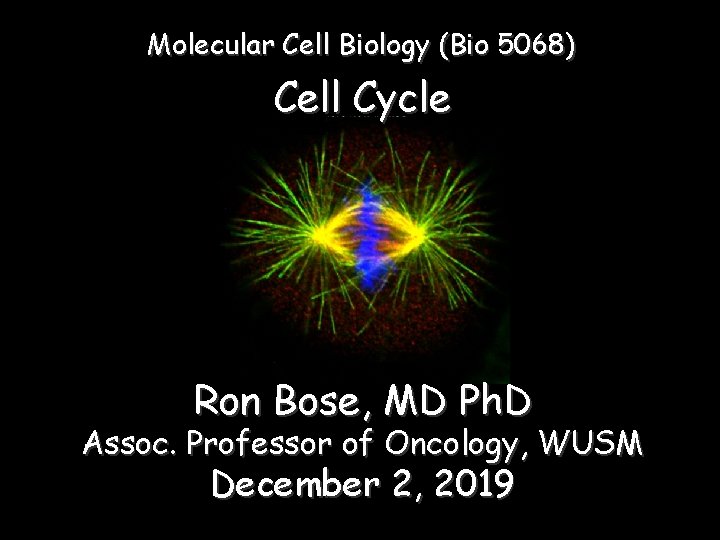 Molecular Cell Biology (Bio 5068) Cell Cycle Ron Bose, MD Ph. D Assoc. Professor