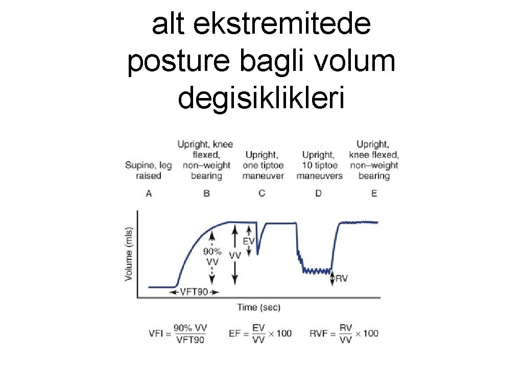 alt ekstremitede posture bagli volum degisiklikleri 