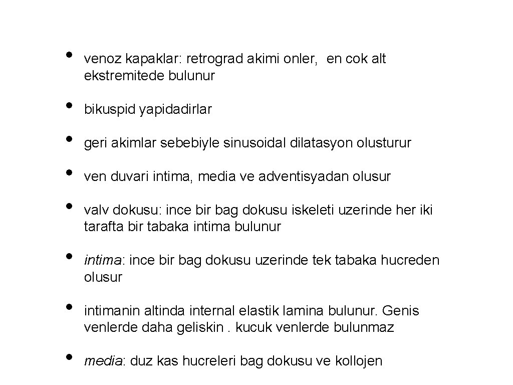  • • venoz kapaklar: retrograd akimi onler, en cok alt ekstremitede bulunur bikuspid