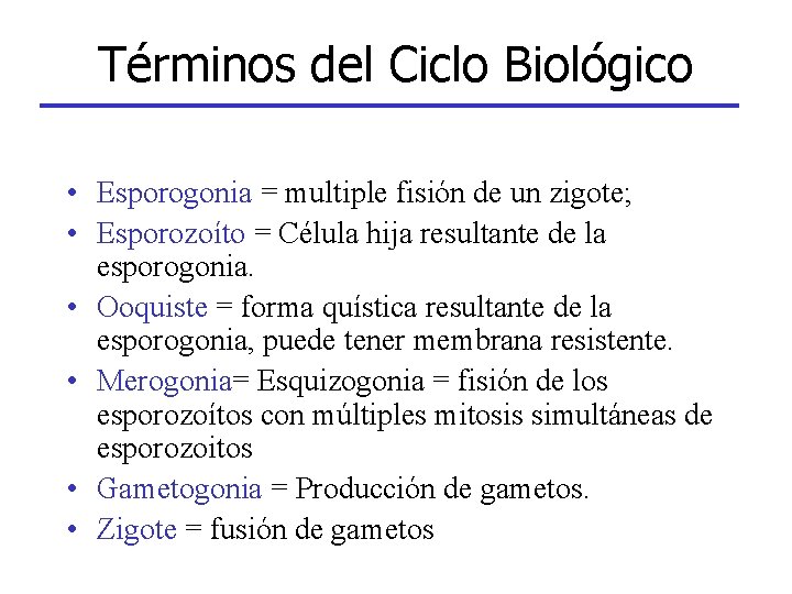 Términos del Ciclo Biológico • Esporogonia = multiple fisión de un zigote; • Esporozoíto