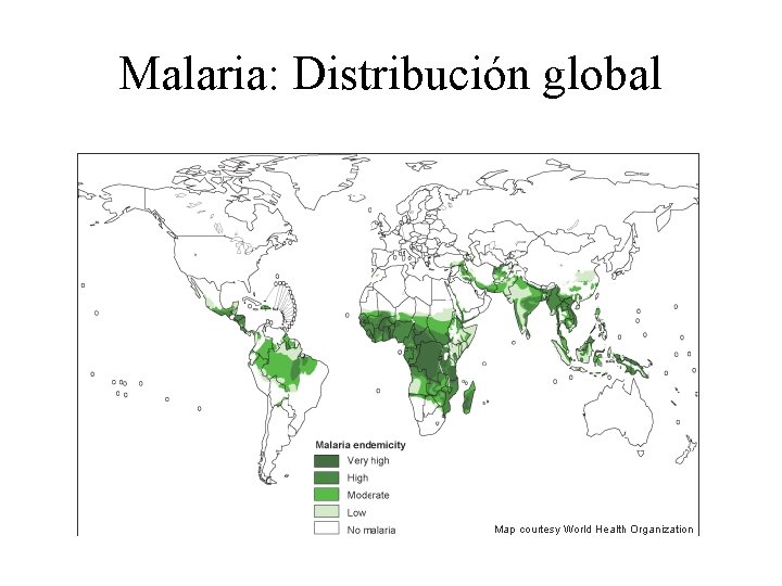 Malaria: Distribución global 
