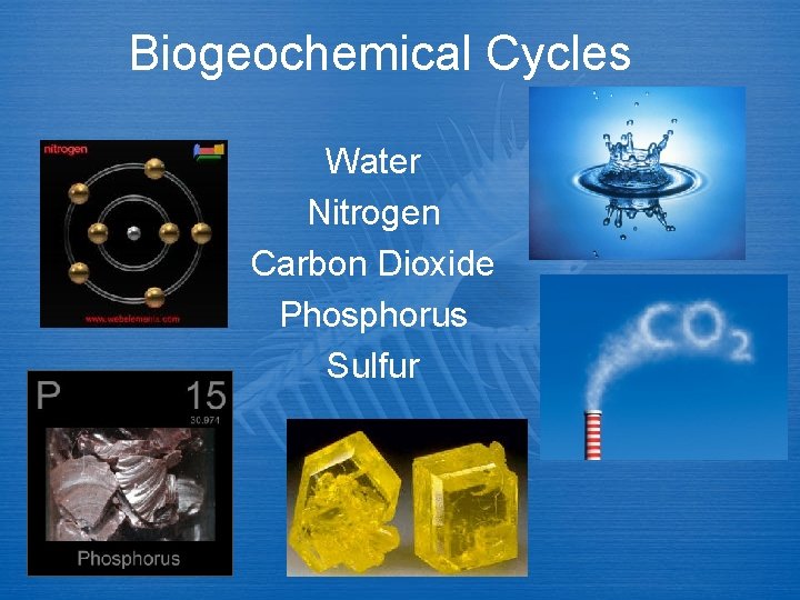 Biogeochemical Cycles Water Nitrogen Carbon Dioxide Phosphorus Sulfur 