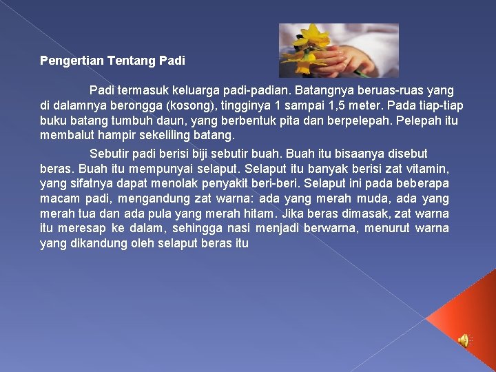 Pengertian Tentang Padi termasuk keluarga padi-padian. Batangnya beruas-ruas yang di dalamnya berongga (kosong), tingginya