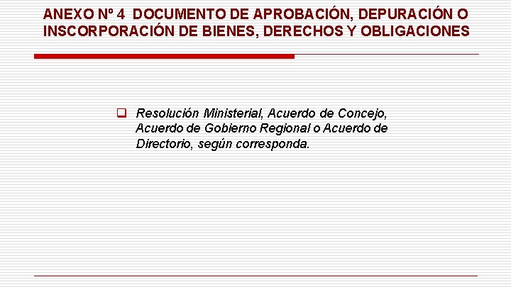 ANEXO Nº 4 DOCUMENTO DE APROBACIÓN, DEPURACIÓN O INSCORPORACIÓN DE BIENES, DERECHOS Y OBLIGACIONES