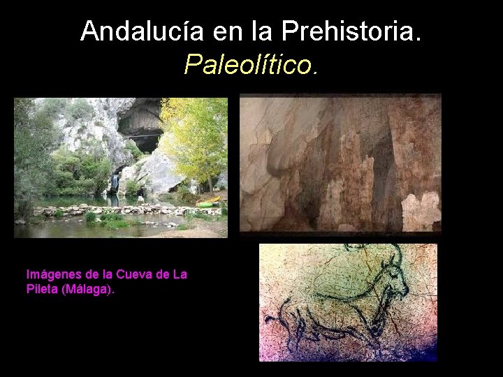 Andalucía en la Prehistoria. Paleolítico. Imágenes de la Cueva de La Pileta (Málaga). 