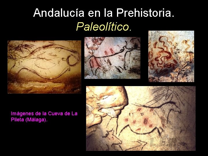 Andalucía en la Prehistoria. Paleolítico. Imágenes de la Cueva de La Pileta (Málaga). 