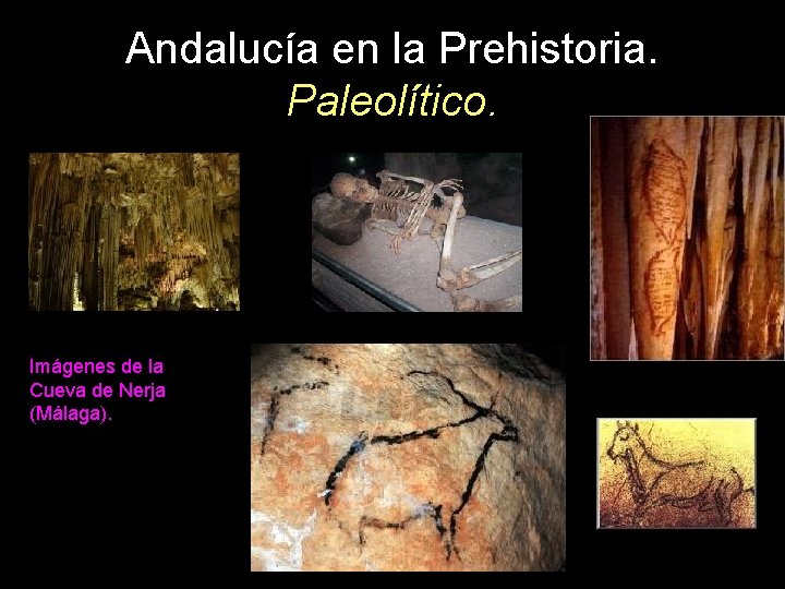 Andalucía en la Prehistoria. Paleolítico. Imágenes de la Cueva de Nerja (Málaga). 