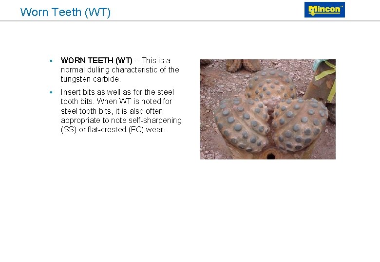 Worn Teeth (WT) § WORN TEETH (WT) – This is a normal dulling characteristic