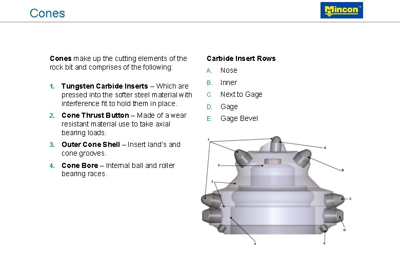 Cones make up the cutting elements of the rock bit and comprises of the