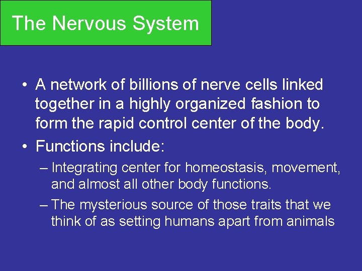 The Nervous System • A network of billions of nerve cells linked together in