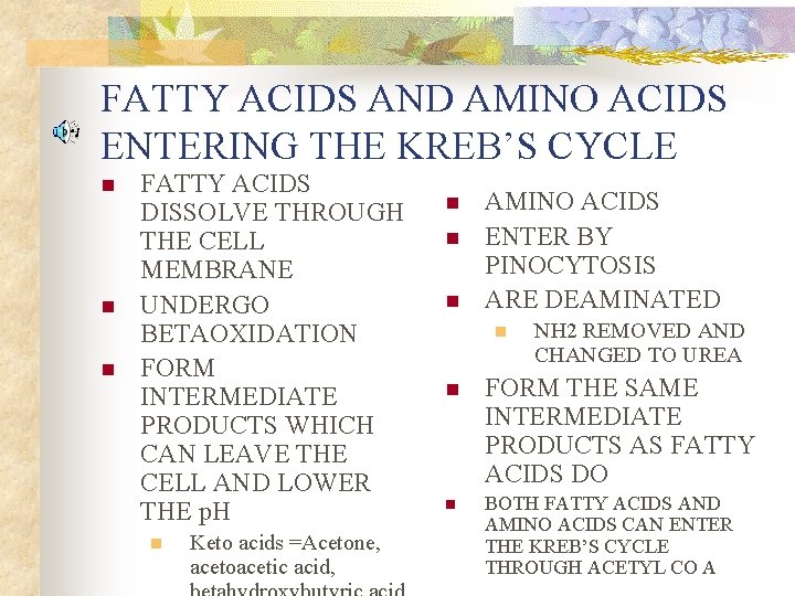 FATTY ACIDS AND AMINO ACIDS ENTERING THE KREB’S CYCLE n n n FATTY ACIDS