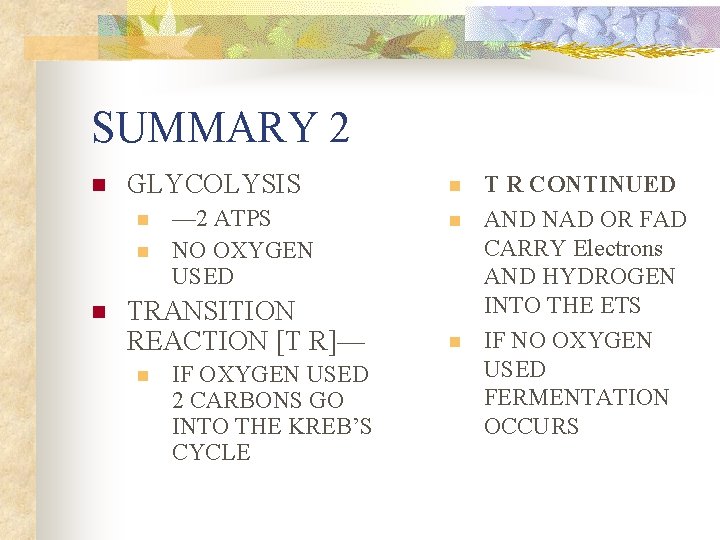 SUMMARY 2 n GLYCOLYSIS n n n — 2 ATPS NO OXYGEN USED TRANSITION